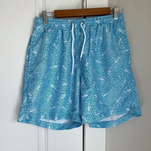 Swim Trunks - Picture 1 of 2
